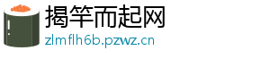 揭竿而起网